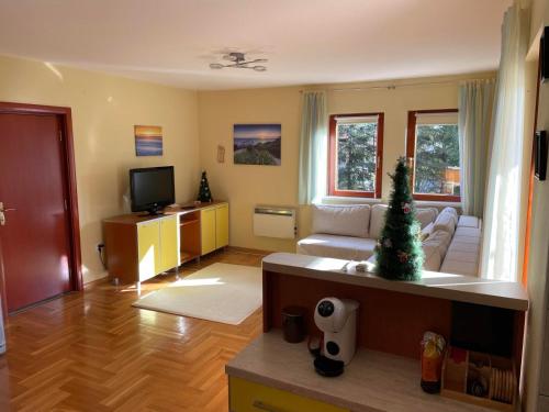 Yellow i Green Apartment Zlatibor stan na dan smestaj u naselju Zova svez vazduh šuma terasa parking