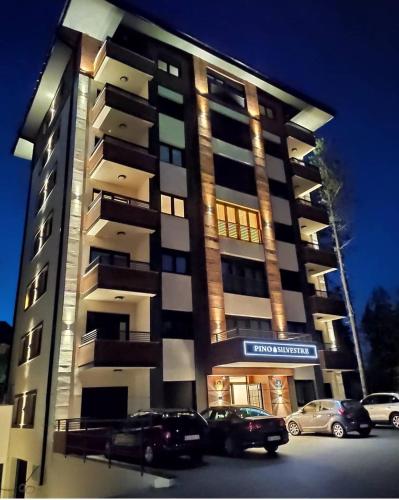 Vila Pino Silvestre Zlatibor stan na dan smestaj u Ulici Drinske divizije kod centra pogled Tornik parking