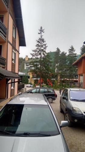 Apartman Dinic Zlatibor stan na dan smestaj blizu centra apartmani sa parkingom
